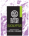 Eucalyptus Essential Oil